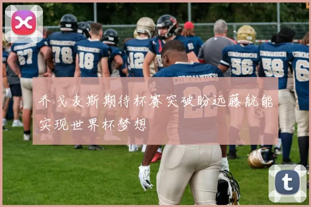 乔戈麦斯期待杯赛突破盼远藤航能实现世界杯梦想